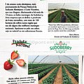 Antevisão Folheto PINGO DOCE Produção Nacional Promoções até 1 junho p6.jpg